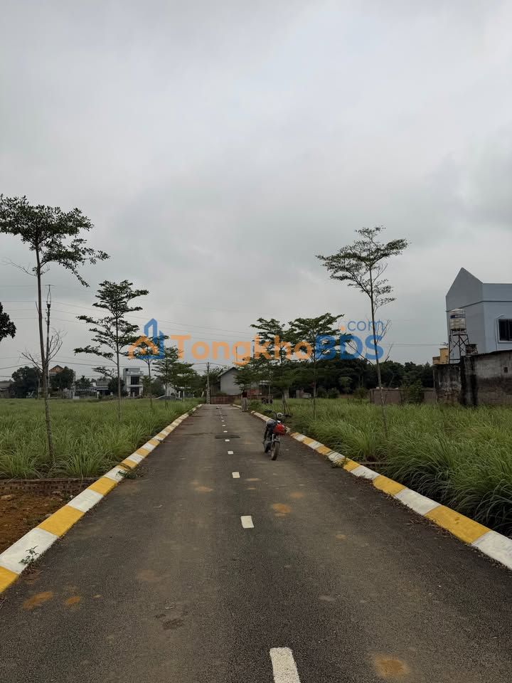 Đất nền Tân Xã Thạch Thất 100m² 2 tỷ - Sổ đỏ chính chủ