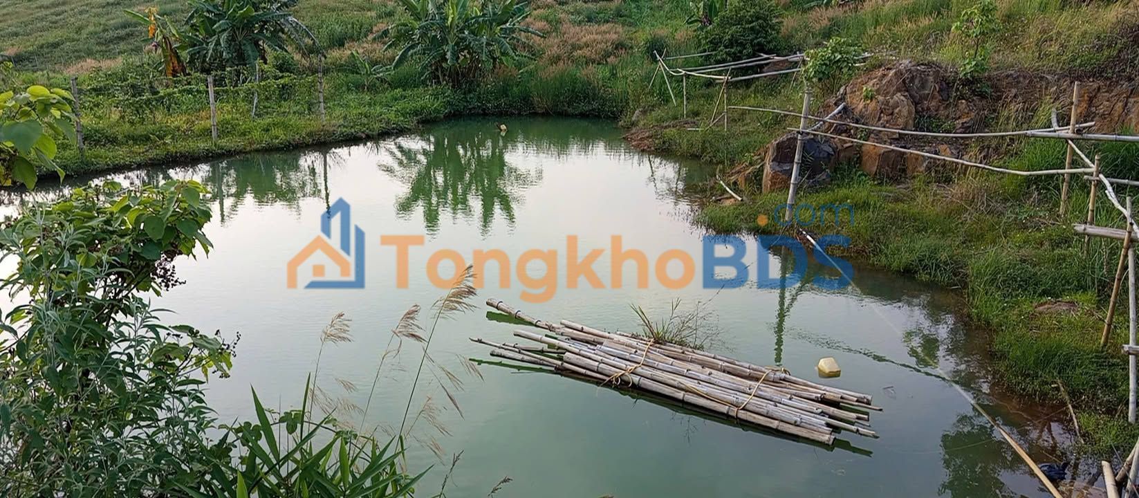 Đất nền Thôn 4 Lộc Tân 2.5ha – Sổ đỏ chính chủ, giá tốt đầu tư dài hạn