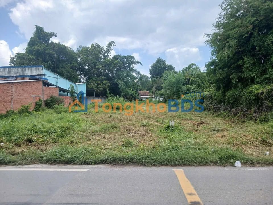 Đất vườn Thái Mỹ Củ Chi 1.055m² 3,55 tỷ - Sổ hồng sẵn