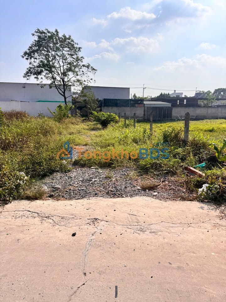 Đất thổ cư Tân Hiệp Hóc Môn 115m² 3.4 tỷ - Sổ đỏ chính chủ