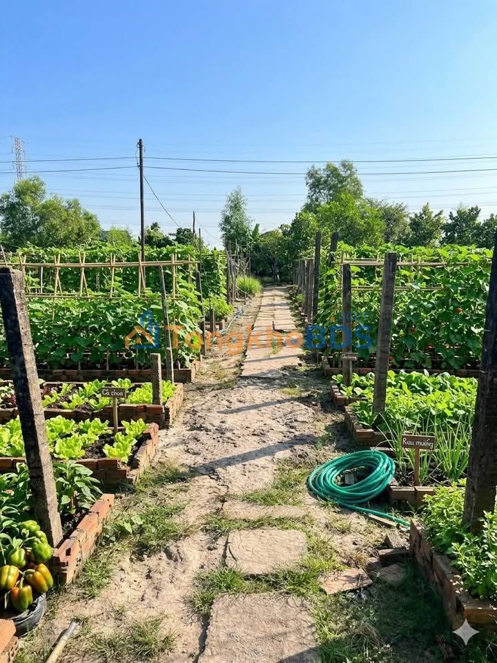 Townhouse Củ Chi 4.555m² thỏa thuận - Vị trí đắc địa