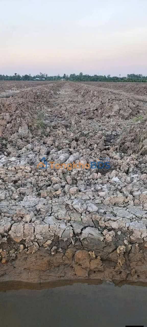 Đất vườn Phú Cường 6.000m² 3 tỷ - Sinh thái xanh