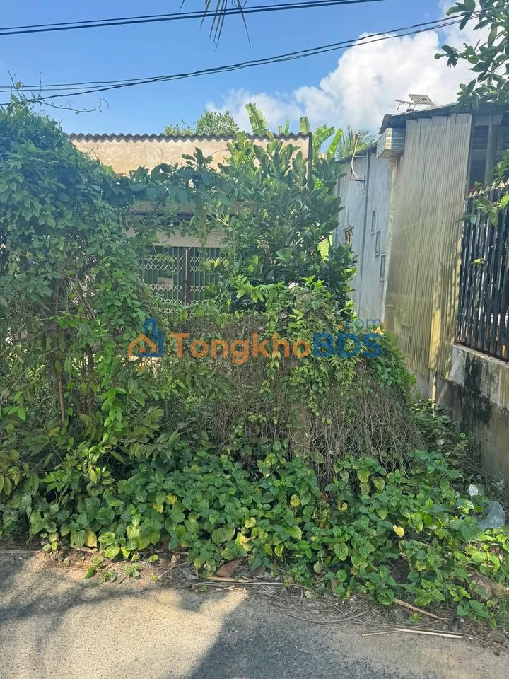 Nhà phố Nhị Quý 100m² 700 triệu - Mặt tiền kinh doanh