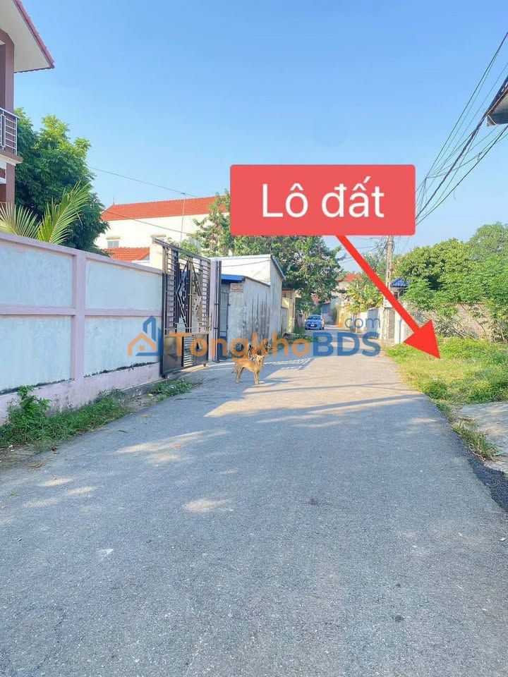 Đất Tam Hợp Bình Xuyên 125m² 1,1 tỷ - Sổ đỏ chính chủ