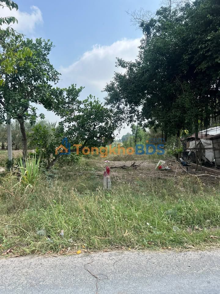 Đất nền Lục Viên, Đức Hòa 552m² 2 tỷ - Sổ đỏ chính chủ