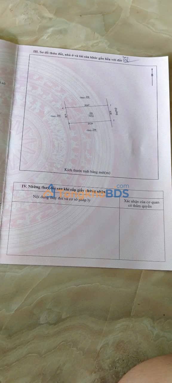 Đất nền Nghi Vạn 163m² 1 tỷ - Giá tốt hiếm có