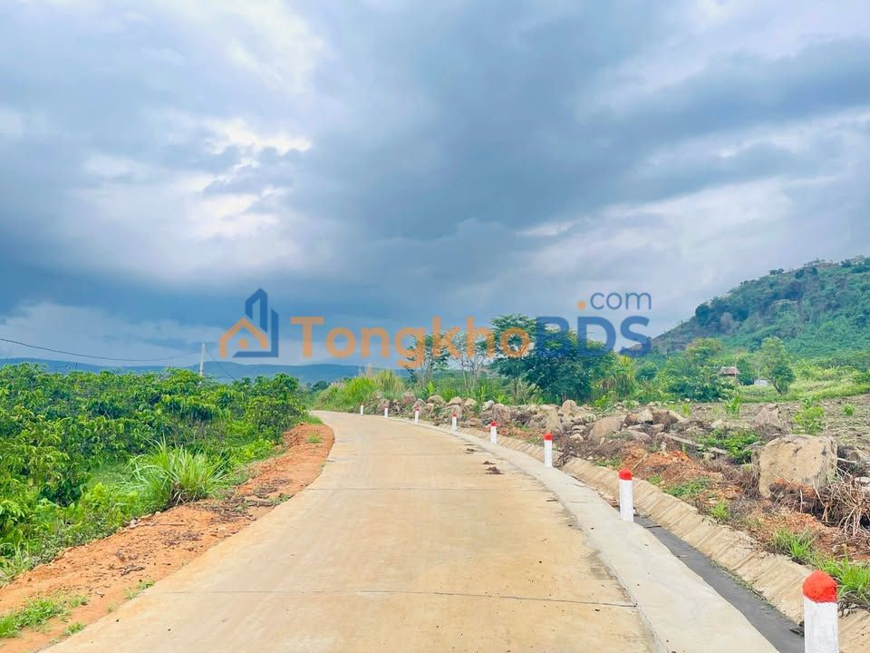 Đất nền Liên Hà Lâm Hà 1.000m² giá 1 tỷ - Sổ hồng chính chủ