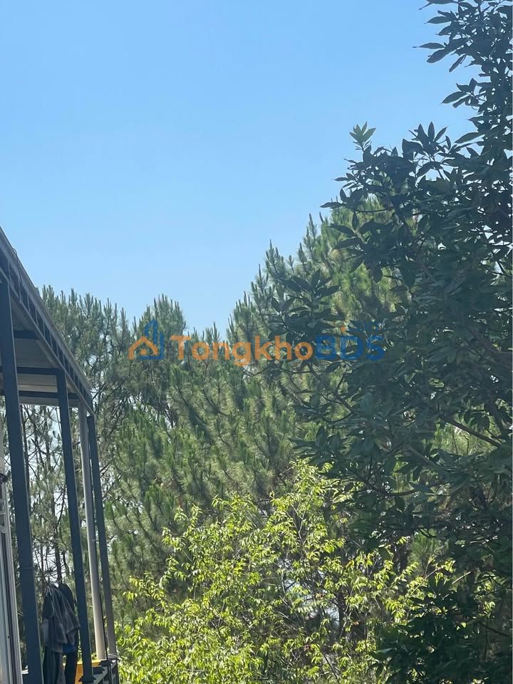 Nhà mặt tiền P8 Đà Lạt 6 triệu - Sẵn sàng ở ngay