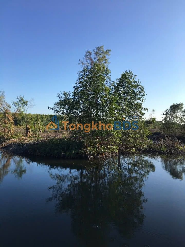 Đất nền Viên An Đông 19.000m² 700 triệu - Tiềm năng tăng giá