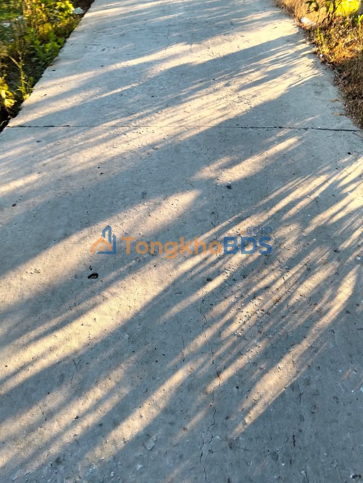 Đất Vĩnh Mỹ P3 264m² 450 triệu - Giá tốt hiếm có