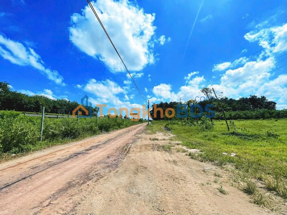 Đất nền Long Thành Đồng Nai 47.000m² 98.7 tỷ - Gần sân bay