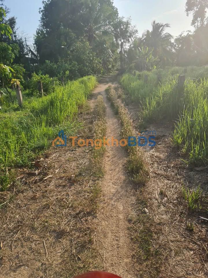 Đất vườn Phan Thiết 576m² 450 triệu - Sinh thái xanh