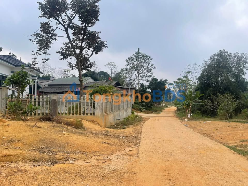 Đất nền Phường Phú Hộ 100m² 800 triệu - Thổ cư 100%