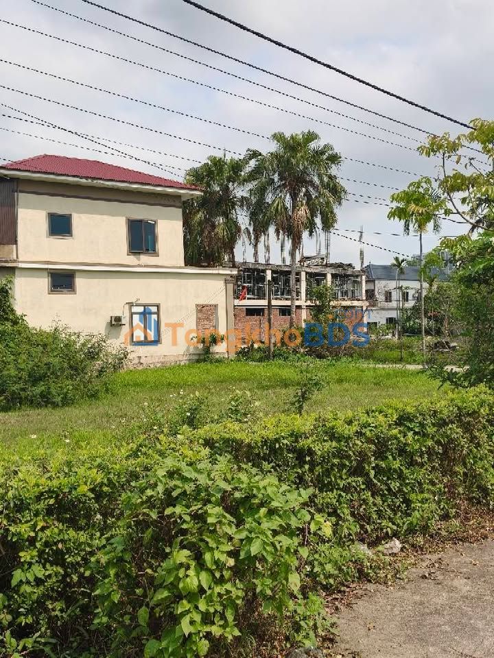 Đất nền Hà Tĩnh Hà Huy Tập 140m² - Hạ tầng hoàn thiện