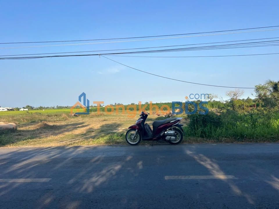 Đất trồng cây lâu năm Bình Tân Gò Công Tây 4265m² 9 tỷ - Đường ô tô