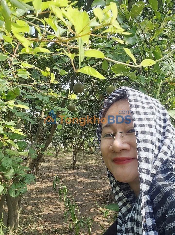 Đất vườn Ngũ Hiệp Thanh Trì 137m² 500 triệu - Sổ hồng rõ ràng