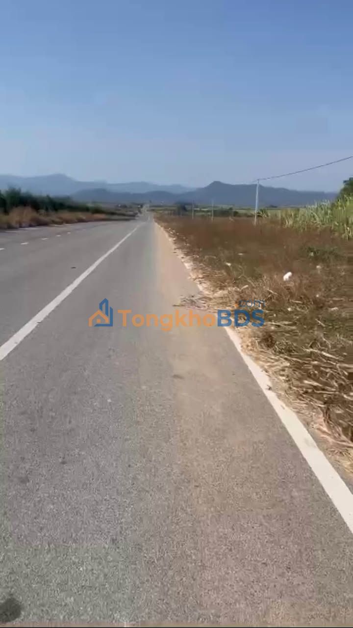 Đất nền Phước Bình 2.400m² 2.4 tỷ - Đường to ô tô