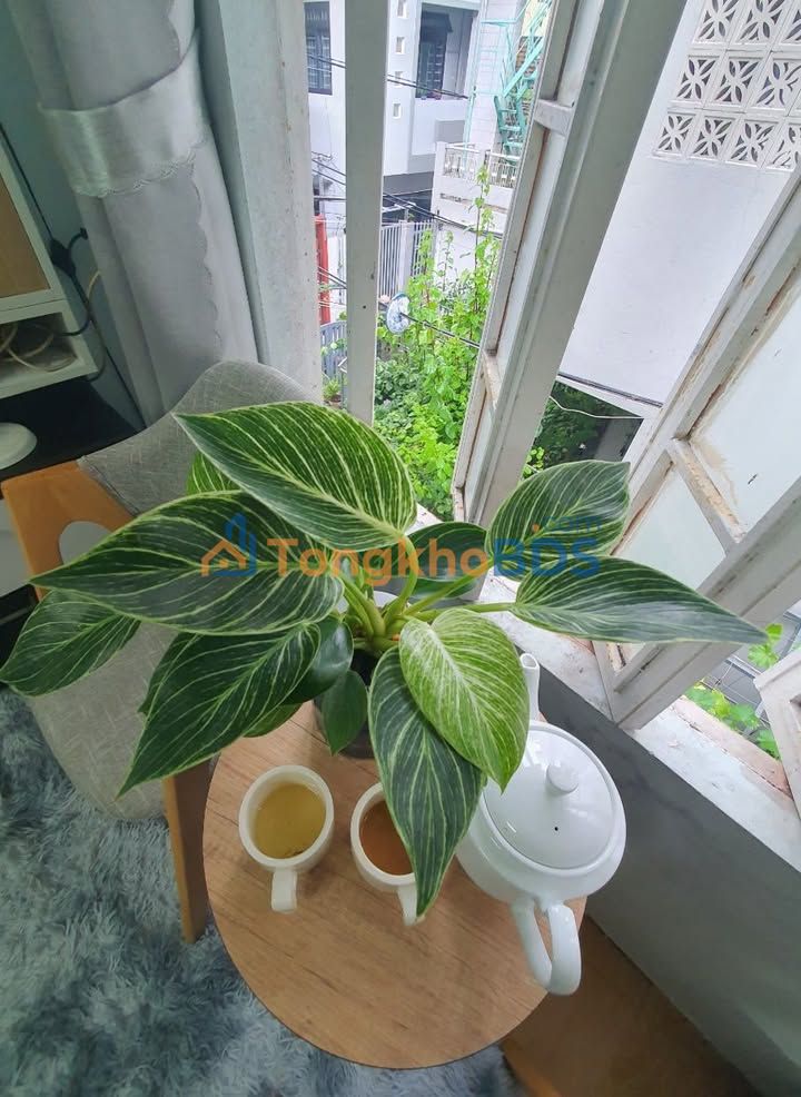 Nhà phố Nguyễn Hữu Thọ 95m² 15.3 tỷ - Mặt tiền kinh doanh