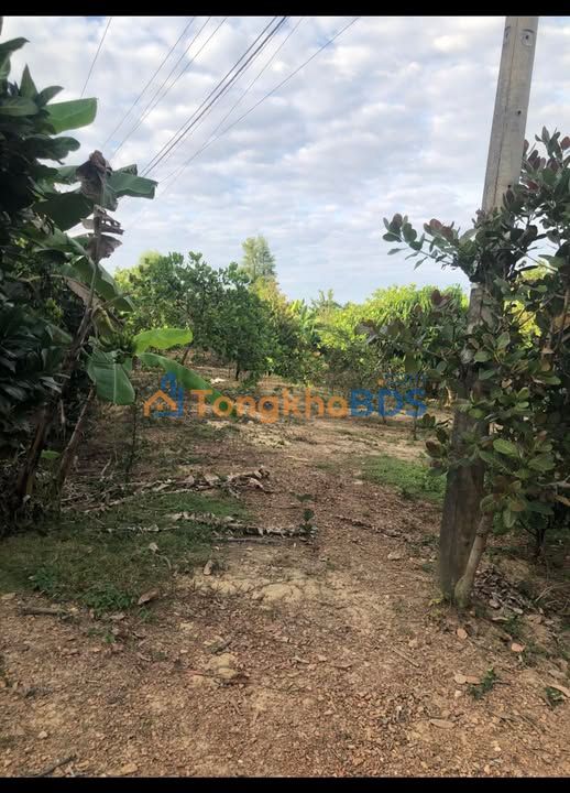 Đất Phú Vinh Định Quán 1.000m² thỏa thuận - Sổ đỏ