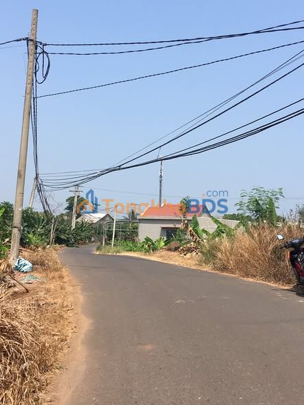 Đất nền Trảng Bom 2000m², 300m² thổ cư - Đầu tư dài hạn