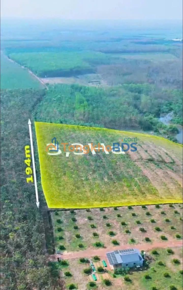 Đất vườn Tân Thành Đồng Xoài 3,3ha 6,001 tỷ - Sinh thái xanh