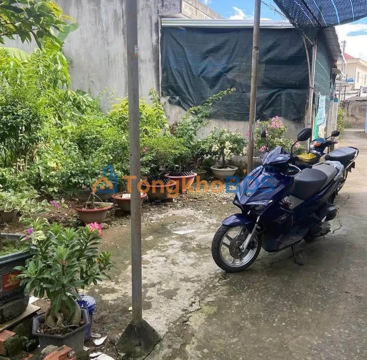 Đất nền Phú Khương Bến Tre 131m² 850 triệu - Tiềm năng tăng giá