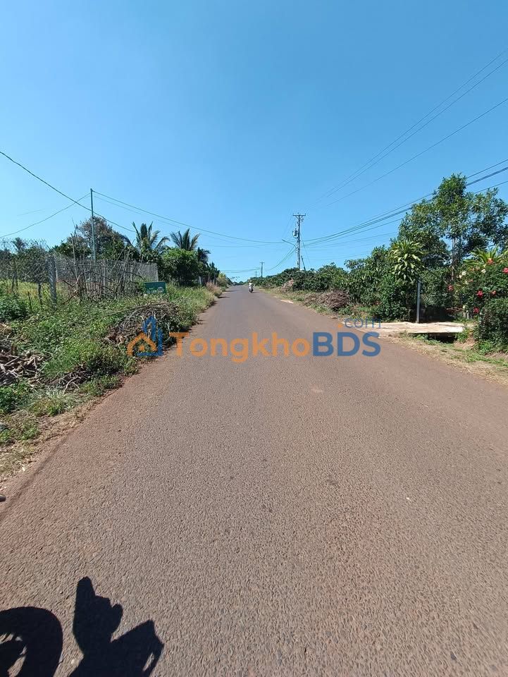 Đất Nguyễn Trung Trực Di Linh 250m² 999tr - Tăng giá