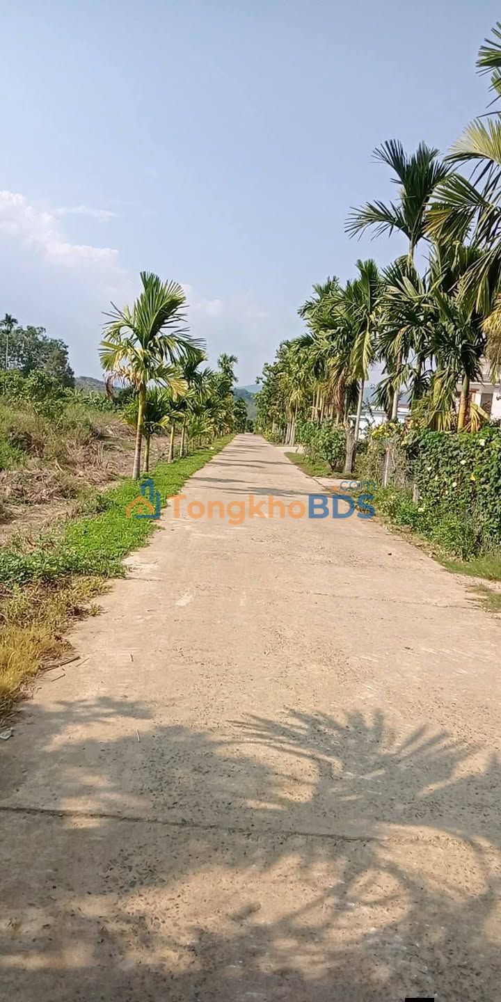 Đất nền Đạ Kho 595m² 400tr - Sổ đỏ chính chủ bán gấp