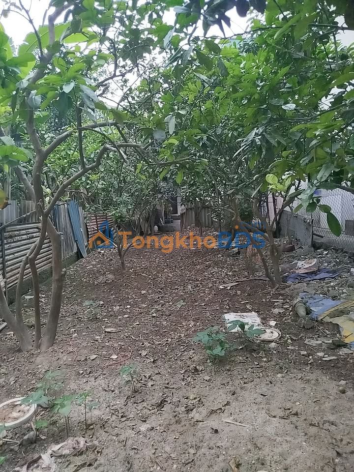 Đất nền Thượng Cát 51m² 4,8 tỷ - Sổ đỏ chính chủ