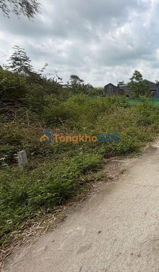 Đất nền Thăng Bình 216m² 5xx triệu - Sổ đỏ chính chủ