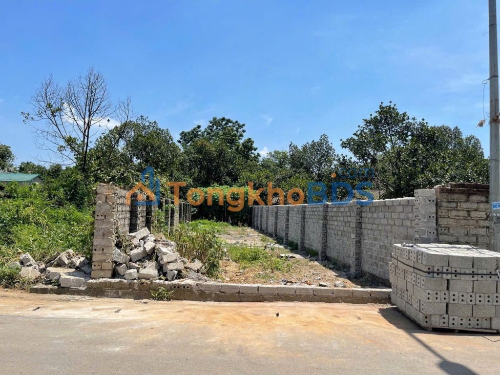 Đất nền Cổ Đông Sơn Tây 125m² 4,75 tỷ - Sổ đỏ chính chủ