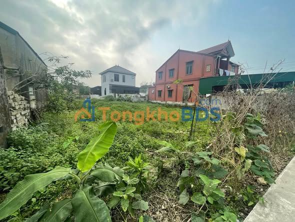 Đất Nam Giang Nam Đàn 113m² 2 tỷ - Sổ đỏ chính chủ