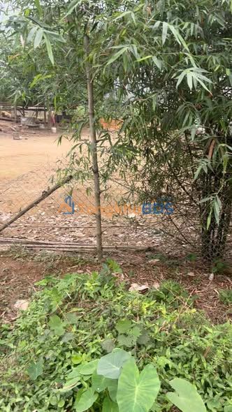 Đất nền Quốc lộ 70B Mỹ Lung 200m² 950tr - Sổ đỏ chính chủ