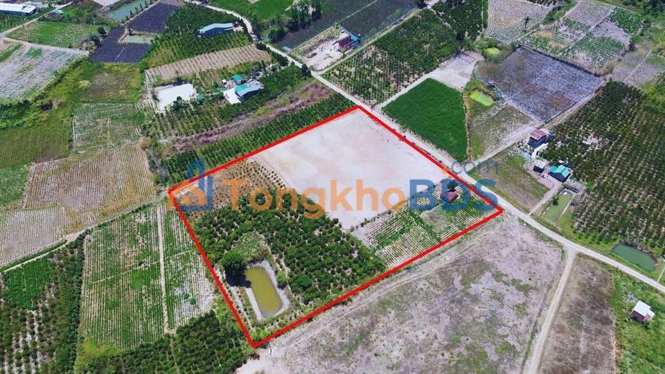 Đất vườn Tân Hội Đức Trọng 1,3ha 22,39 tỷ - Sinh thái xanh