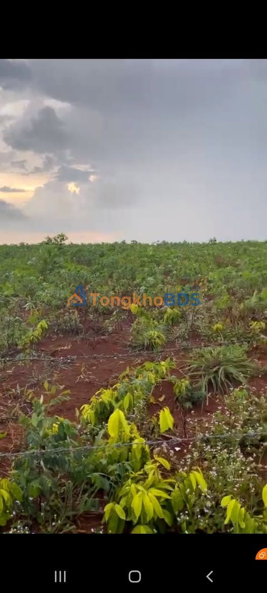 Đất nền EaBar Sông Hinh 2000m² giá thỏa thuận - Sổ đỏ chính chủ