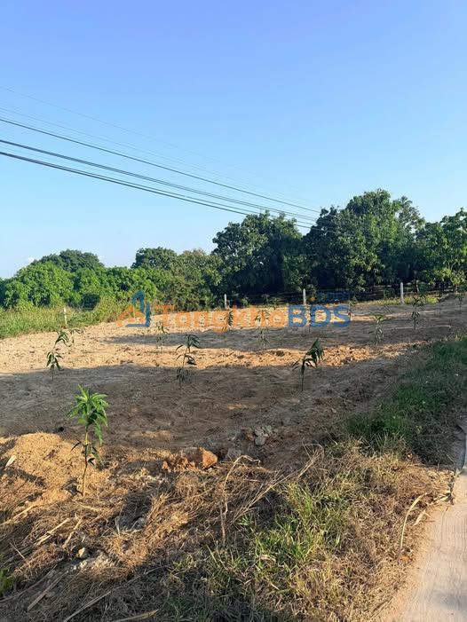 Đất nền Cam Hiệp Nam Cam Lâm 1.362m² 450 triệu - Sổ đỏ chính chủ