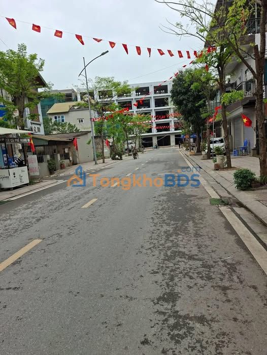 Đất nền Trâu Quỳ Gia Lâm 113m² 16.95 tỷ - Giá tốt hiếm có