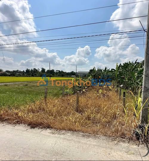 Đất thổ cư Tân Trụ Long An 130m² 479 triệu - Giá F0 CĐT