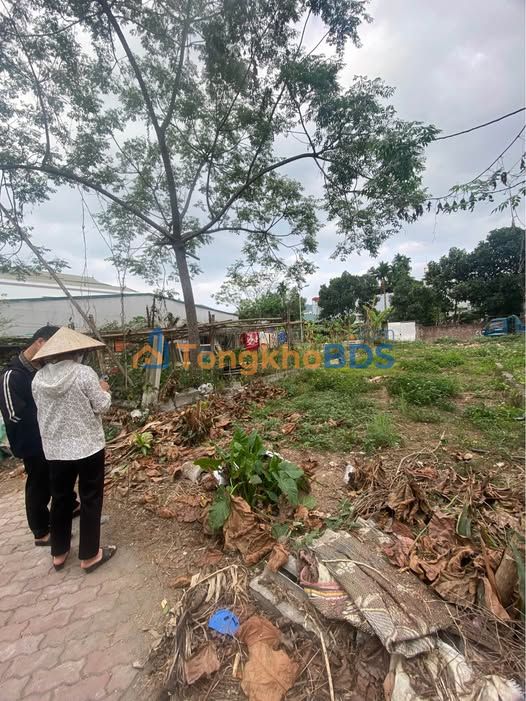 Đất nền Thịnh Lang Hòa Bình 109m² 2,071 tỷ - Đất thổ cư 100%