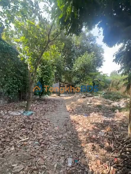 Đất nền Hoàng Văn Thụ Việt Trì 120m² 1.005 tỷ - Sổ đỏ chính chủ