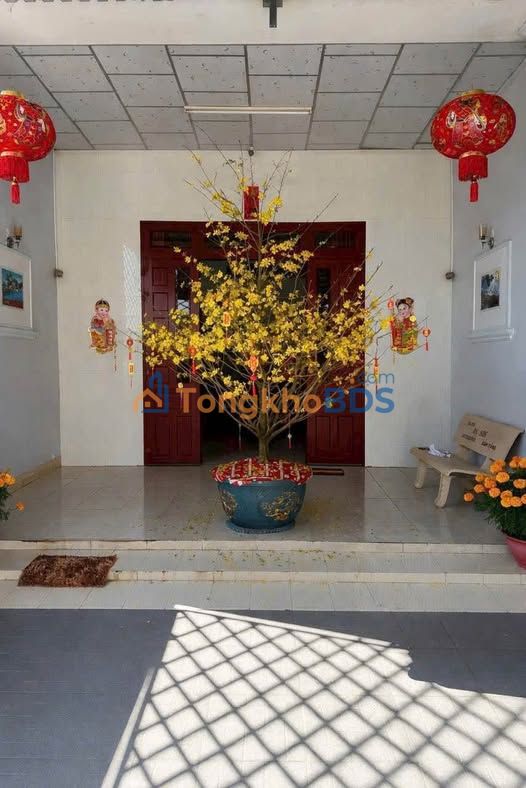 Nhà cấp 4 Đinh Thiếu Sơn, Tây Ninh 150m2 3.7 tỷ - Chính chủ bán