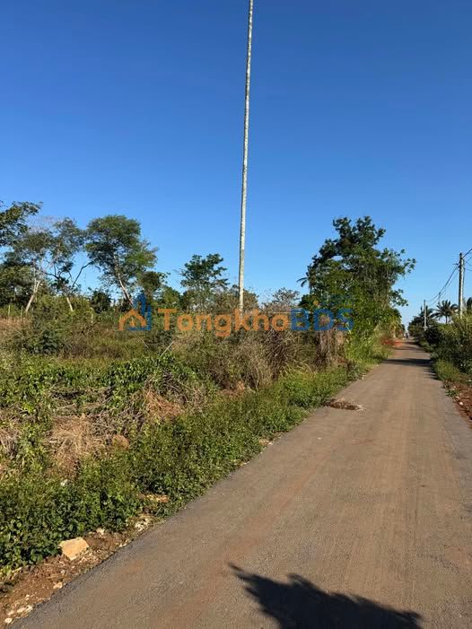 Đất nền Buôn Hồ Thôn 5 300m² 399 triệu - Sổ đỏ chính chủ