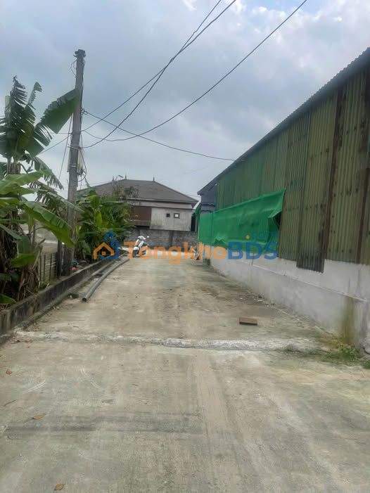 Đất nền Thôn 6 Cẩm Quang 151m² giá thỏa thuận - Sổ đỏ chính chủ