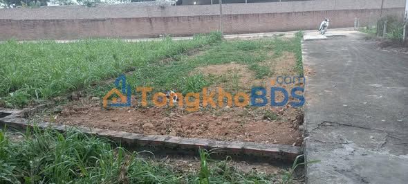 Đất nền Hướng Đạo Tam Dương 97m² 8xxtr - Sổ đỏ chính chủ