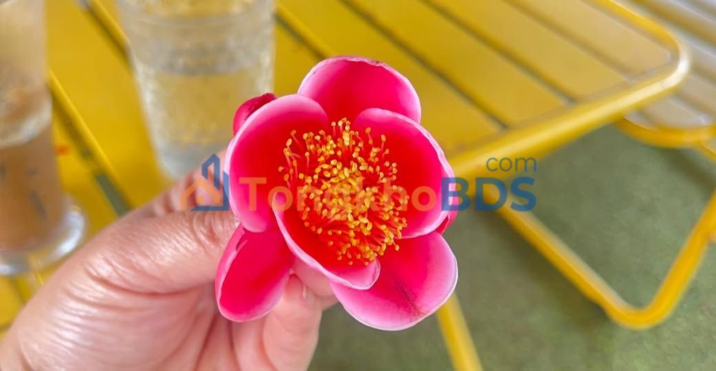 Đất nền Ea Ktur Cư Kuin 615m² - Sổ đỏ chính chủ