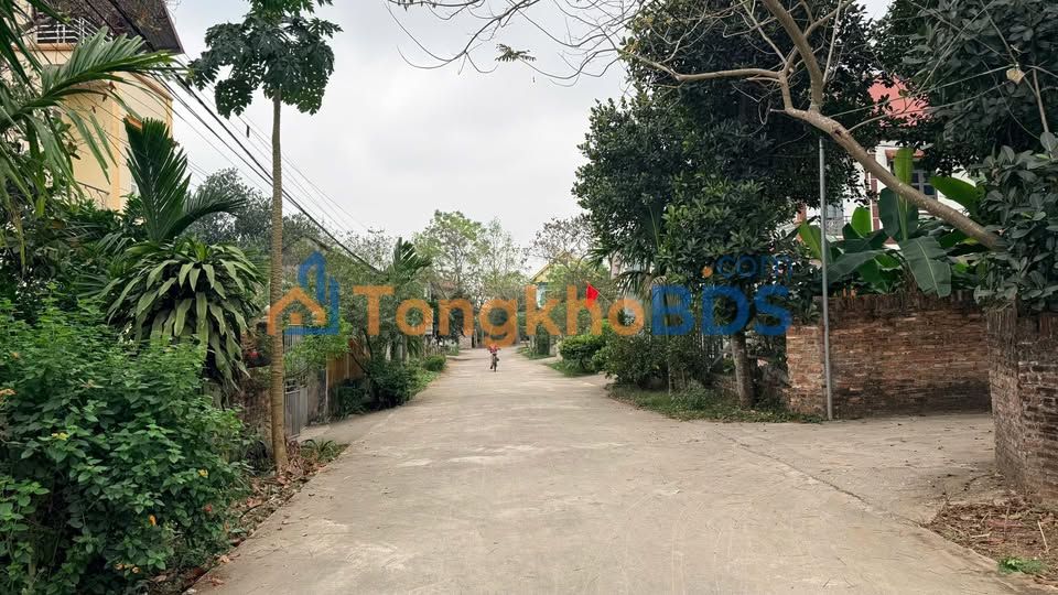 Đất Hoàng Vân Hiệp Hòa 140m² 1.1 tỷ - Tiềm năng tăng giá