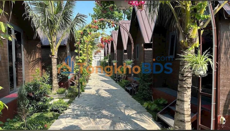 Đất Lê Văn Việt Thủ Đức 1.426m² 66 tỷ - Sổ đỏ chính chủ