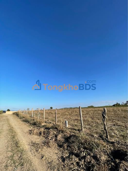 Đất nền Đoàn Kết Kon Tum 500m² 249 triệu - Đường ô tô