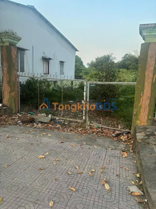 Đất nền Phó Cơ Điều Vĩnh Long 2058m²/45 tỷ - Đường ô tô