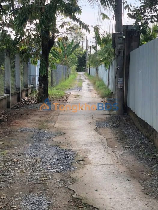 Đất vườn dừa Hữu Định 6.600m² 6.6 tỷ - Sinh thái xanh